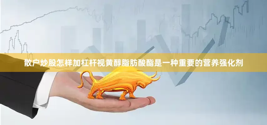 散户炒股怎样加杠杆视黄醇脂肪酸酯是一种重要的营养强化剂