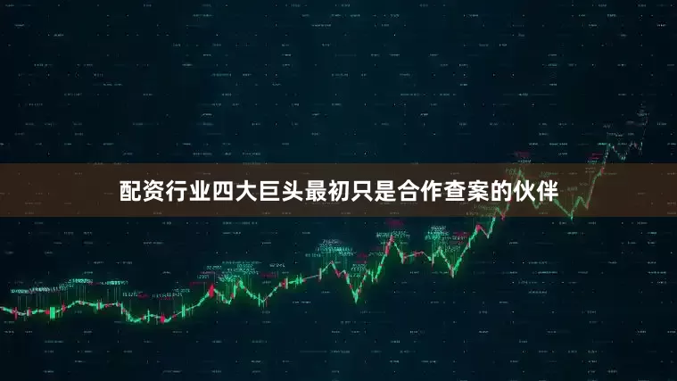 配资行业四大巨头最初只是合作查案的伙伴