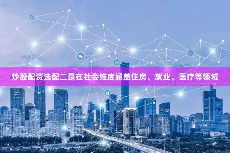 炒股配资选配二是在社会维度涵盖住房、就业、医疗等领域